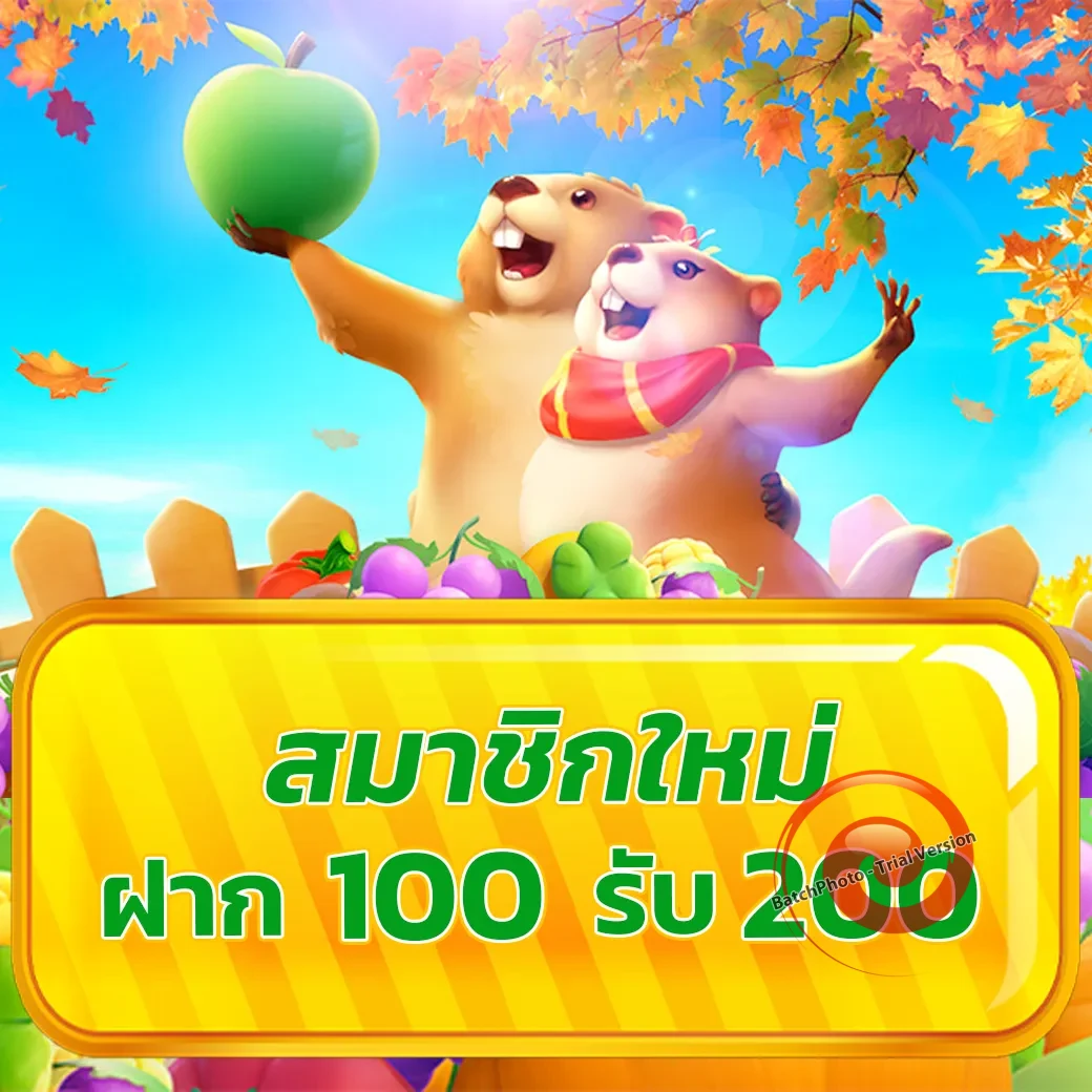 dgb222 ทางเข้า